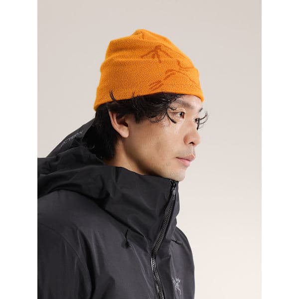 Arc'teryx Bird Head Toque Mössa Svart Merinoull Stickad Vintermössa Unisex Ljusgrå light gray