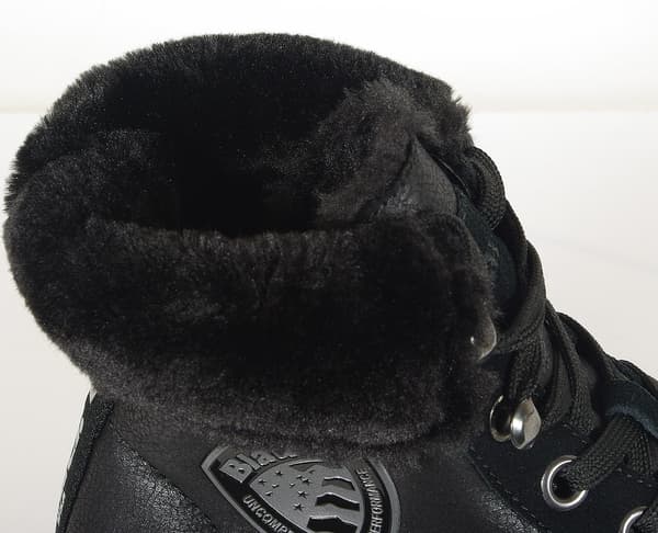 Blauer. USA Madeline04 ankle boots leather she black