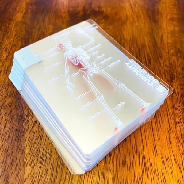 Transparenta 3D-anatomispelkort, vattentät plastkortlek med bilder av människokroppen, pedagogisk present för studenter och samlare