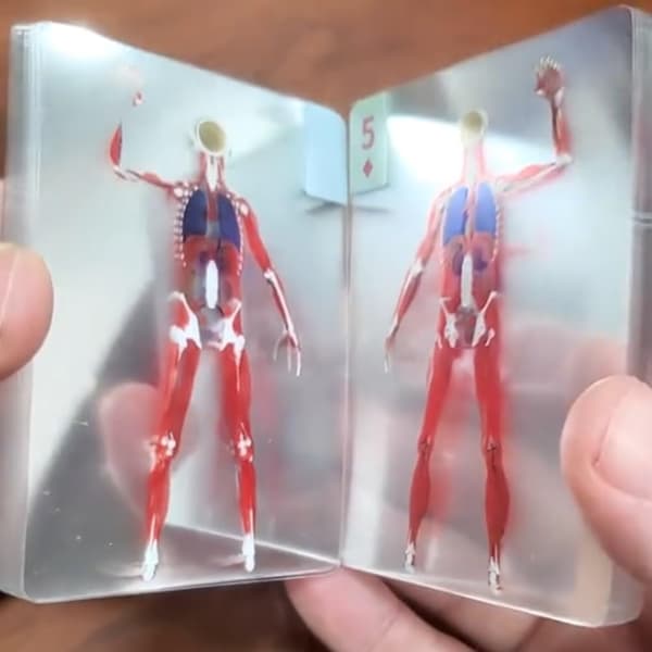 Transparenta 3D-anatomispelkort, vattentät plastkortlek med bilder av människokroppen, pedagogisk present för studenter och samlare