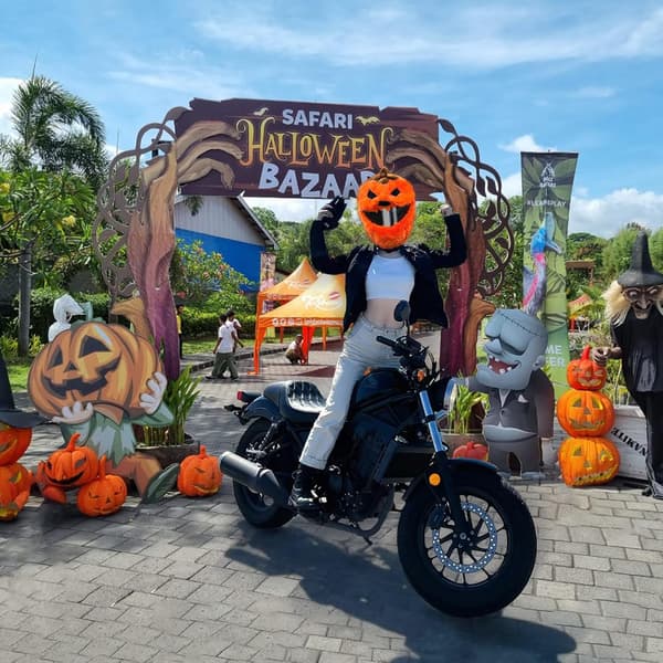 Hjälmöverdrag för motorcykel, Halloween-pumpa, en storlek passar alla, nöjdhetsgaranti, orange förtjockad version Thickened version