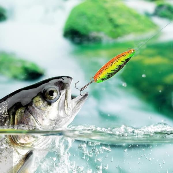 Fiskekalender 2026, 24-dagars fiskeredskapskalender, fiskedragset