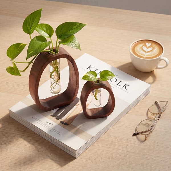Valnötsträ förökningsstation, set om 2, hydroponiska provrörsvaser i glas 7,5” & 5,8” för växtsticklingar, moderna bondgårdsbordsdekorationer