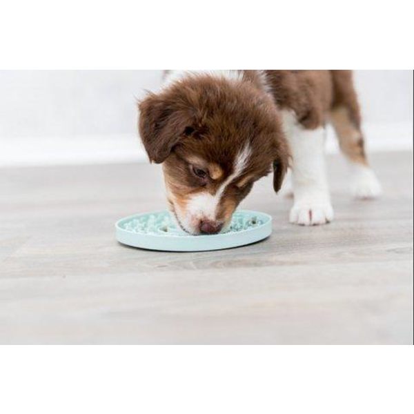 Junior Lick'n'Snack flad, ø 15 cm W gray one size