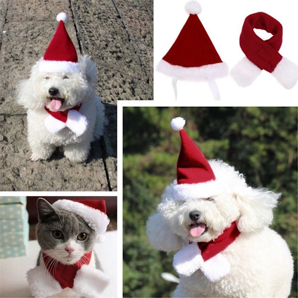Hund og katt nissehue + skjerf W M