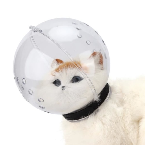 Fdit Cat Space Munkorgshuva Andas genomskinlig ABS-kathuva för katter för att förhindra att bita och fastna