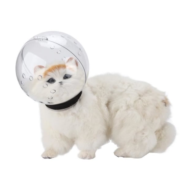 Fdit Cat Space Munkorgshuva Andas genomskinlig ABS-kathuva för katter för att förhindra att bita och fastna