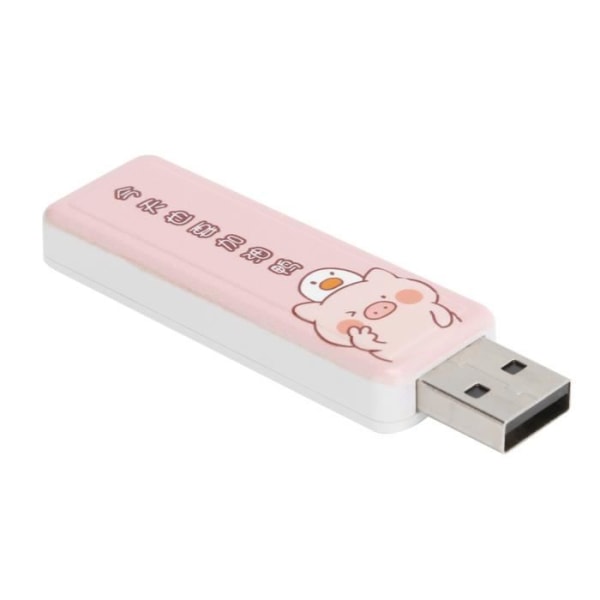 HURRISE USB 2.0 Push-Pull Memory Stick 16GB för bil och företagspresent Happy Duck 32GB