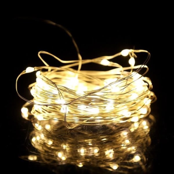 Xuyan 100 LED Fairy String Lights för sovrum Gräsmatta Landskap Trädgård Hem Semesterinredning Varm vit