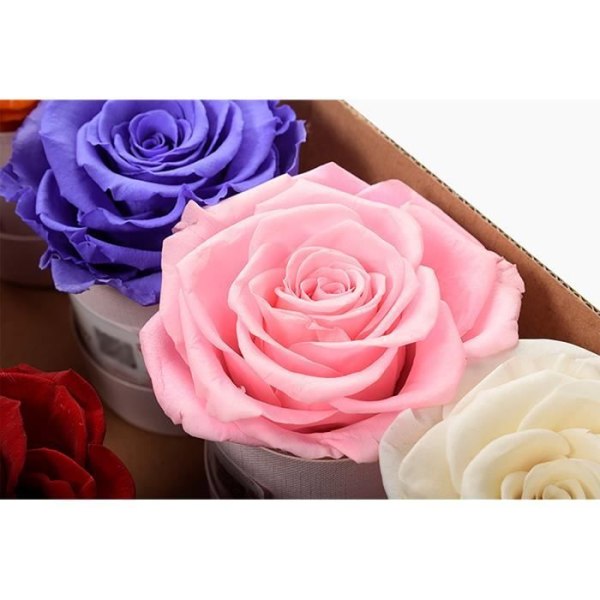 HURRISE Eternal Flower Mini Cuddle hink, konserverade blommor, liten rund blomsterhink, hängande ljusarrangemang