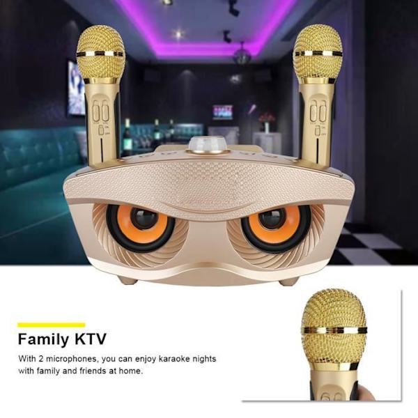 HURRISE Home Bluetooth-högtalare Bluetooth-högtalare Hem KTV Karaoke Bluetooth-högtalare med två mikrofoner (guld)