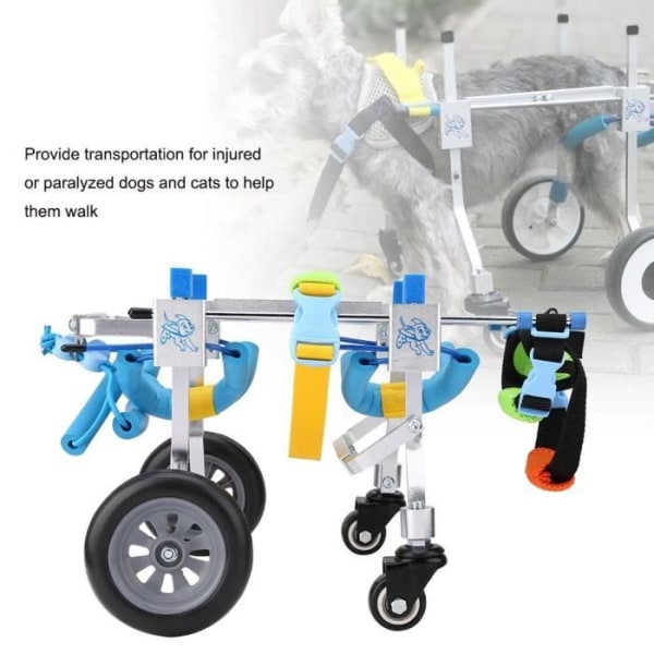 Hund-husdjursrullstol, fyra justerbar rullstol frambensrehabiliteringsvagn