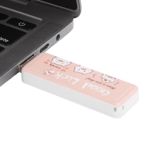 HURRISE USB 2.0 PushPull 16GB Flash Drive - Affärspresent datorbiltillbehör