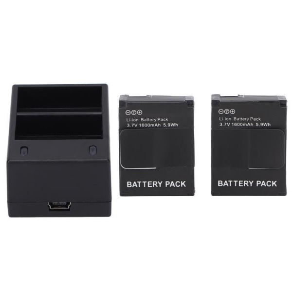 HURRISE batteriladdare med dubbla kamera Kamera batteriladdare, kortladdare med batterier videostycke