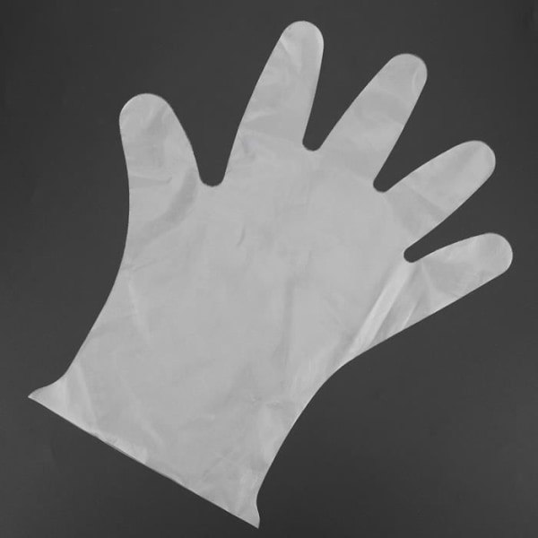 Engångshandskar, 100 st/kartong Disponibel CPE plasthandskar Transparenta livsmedelshandskar för kök/hantering