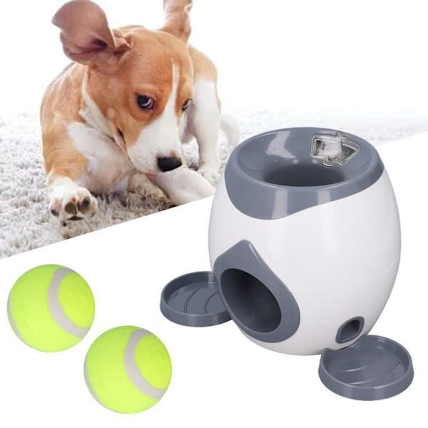 Hundtennisbollskastare Automatisk hundbollskastare Hundtennisbollsskjutaren med 2