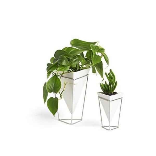Umbra Trigg, bordskruka och geometrisk kruka, idealisk för suckulenter, luftväxter, 1004372-67