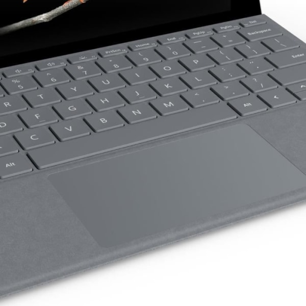 Typ Cover Surface Go Platinum