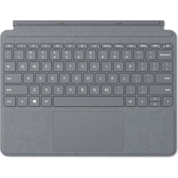 Typ Cover Surface Go Platinum