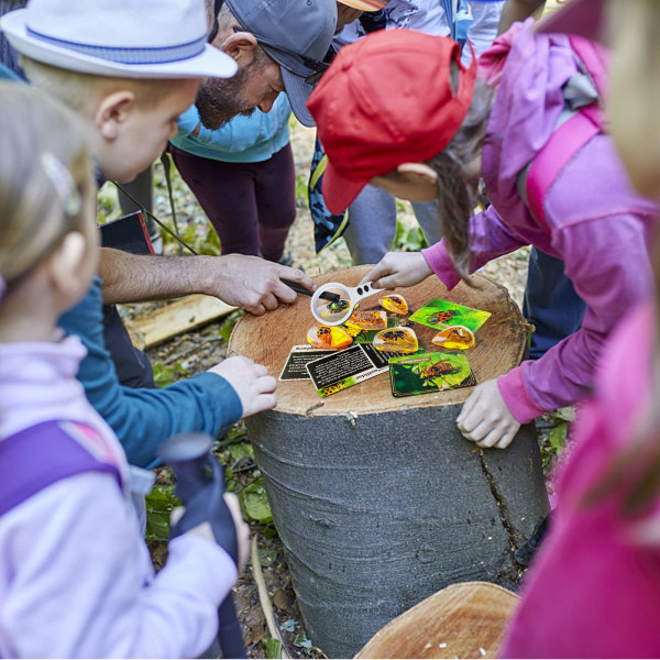 Amber Gemstone Dig Kit，Pedagogiska vetenskapssatser för barn i åldern 6 7 8 9 10，Kristaller och ädelstenspresenter för 6+ år gammal flicka Sex dinosaurier arkeologiska set