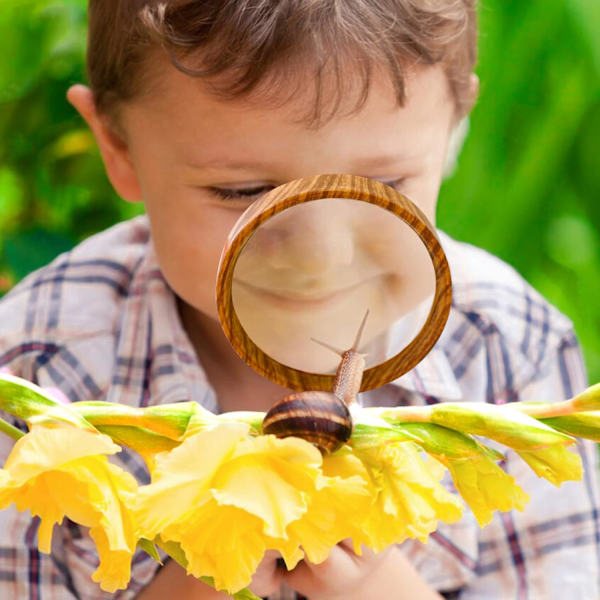 Magnifier 10X 100 mm Antique Reading Magnifying Glass Shatterproof for Reading Hobbies Book Lovers Seniors