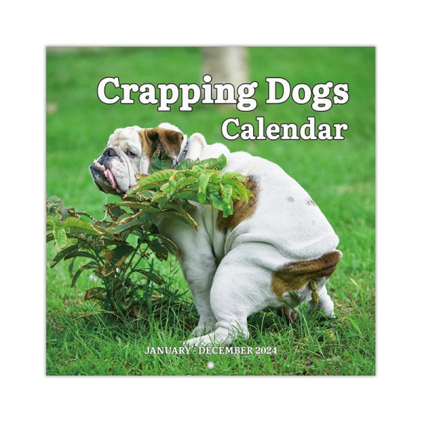 Gag Gifts - 2024 väggkalender, bajsande hundkalender, kalender 2024 från januari 2024 till december 2024, 12 månadskalender