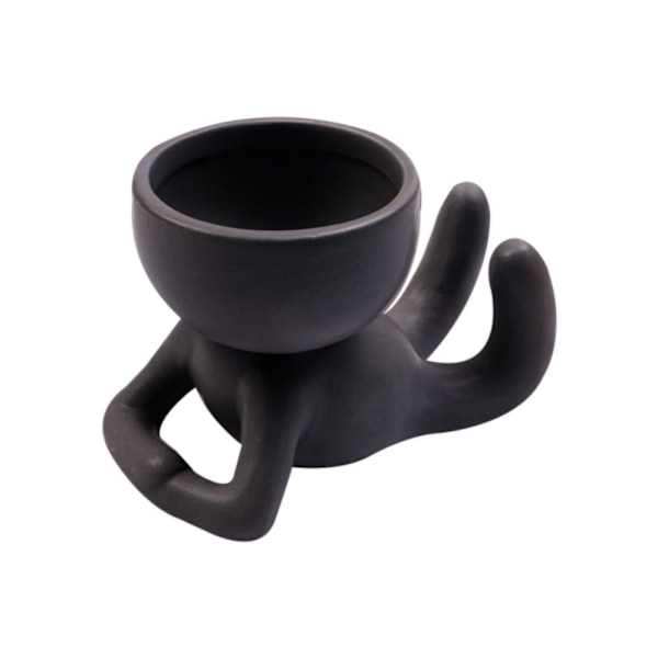 Sukkulente plantepotter Plantepotter SORT 3 3 sort black 3-3