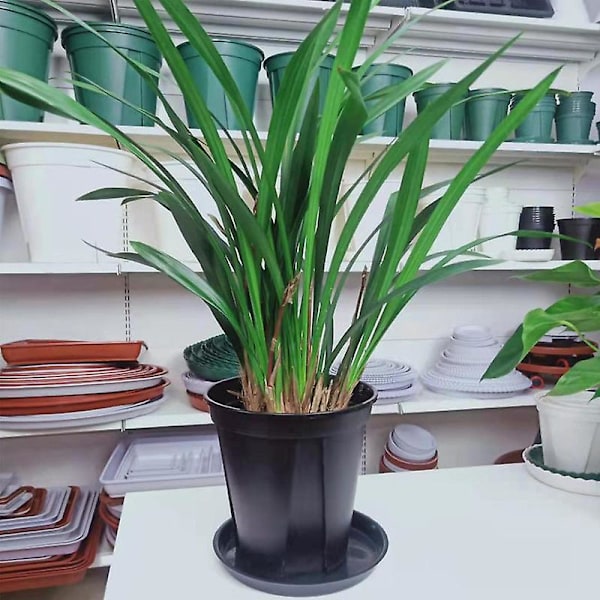 10 kpl kasvilautasia, kukkalautasia - mustat muovilautaset kasveille - ihanteellisia aluslautasia ruukuille 30cm