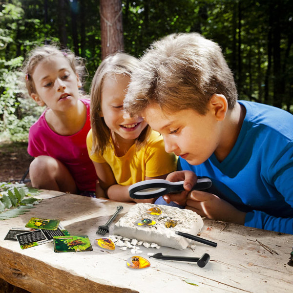 Amber Gemstone Gravesett，Pedagogiske vitenskapssett for barn i alderen 6 7 8 9 10，Krystaller og edelstener gaver til 6 år gammel jente Insekt bärnsten arkeologi kit