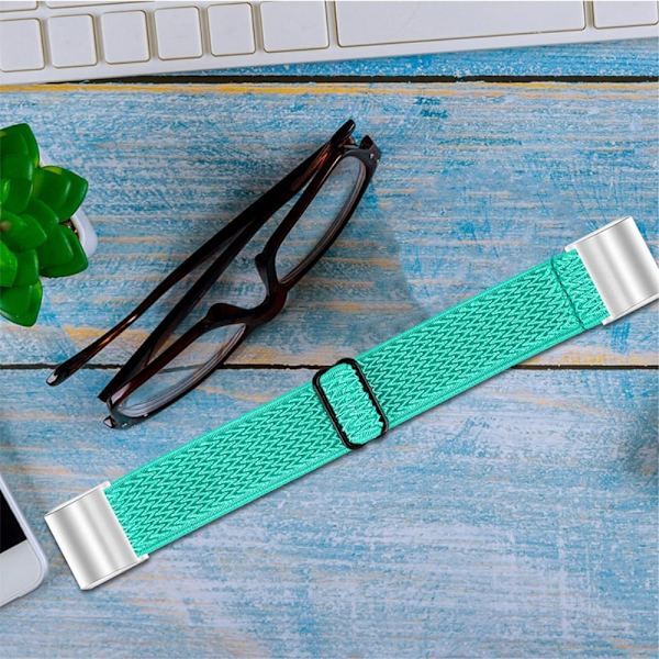 Fitbit Charge 2 nylon elastinen kellonhihna - Mintunvihreä Green