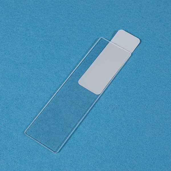 2Pcs Honor Magic V Arc Edge kameralinsskydd av härdat glas Transparent