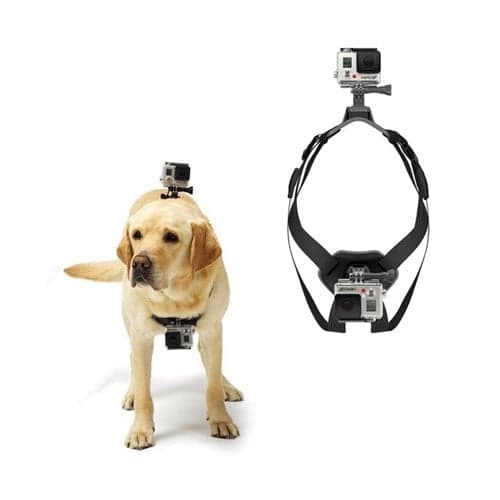 GoPro Hundsele Svart