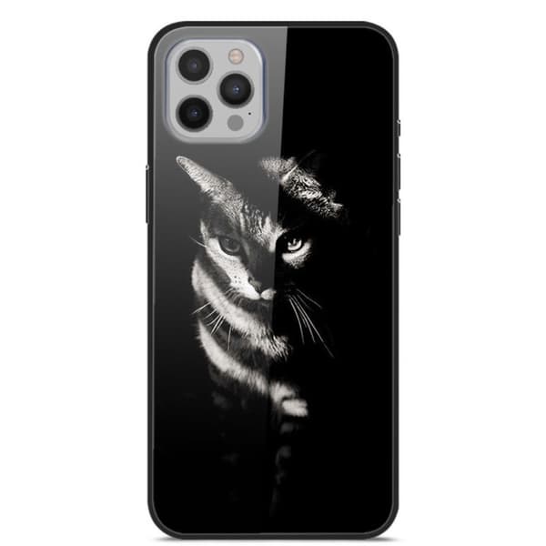 Fantasy iPhone 12 Pro Max Deksel - Katt i Shadow Black