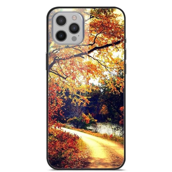 Fantasy iPhone 12 Pro Max kotelot - Maantie Brown
