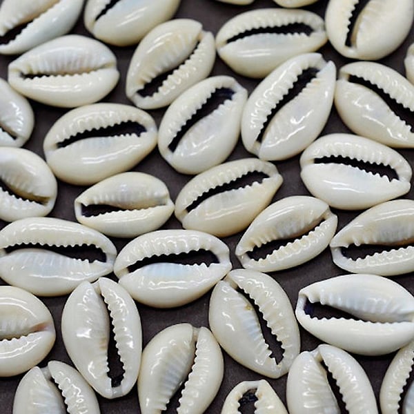 100 st Bulk Snygg Havssnäcka Cowrie Skal Strand DIY Smycken Tillbehör Dekoration vit