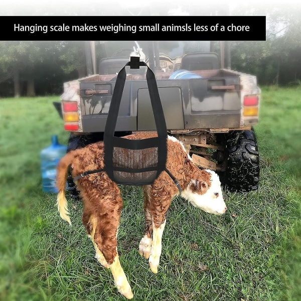 Kalvsele för att väga djur Kraftig hängande viktslinga med justerbara remmar för att väga kalvar Lamm Getter