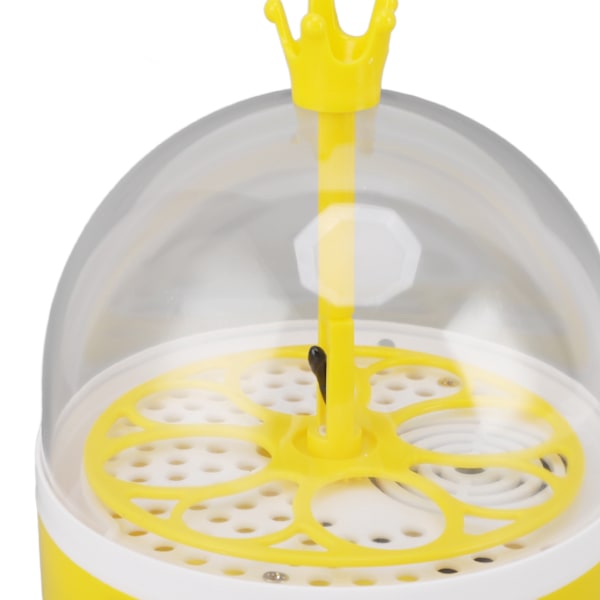 Mini Automatisk Äggkläckningsmaskin för Hemmet, 4 Ägg Kapacitet, Temperatur- & Luftfuktighetskontroll, Manuell Vändning för Kycklingar, Ankor, Duvor och Annan Fjäderfä