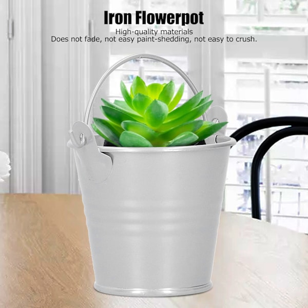 Små Metallkrukor för Sukkulenter, 10-pack, Inomhus- och Utomhusdekoration, Silverfinish, Hållbara Metallplanterare för Mini-Sukulenter & Kaktusar, 4x5.5x6cm