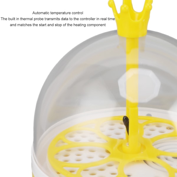 Mini Automatisk Äggkläckningsmaskin för Hemmet, 4 Ägg Kapacitet, Temperatur- & Luftfuktighetskontroll, Manuell Vändning för Kycklingar, Ankor, Duvor och Annan Fjäderfä