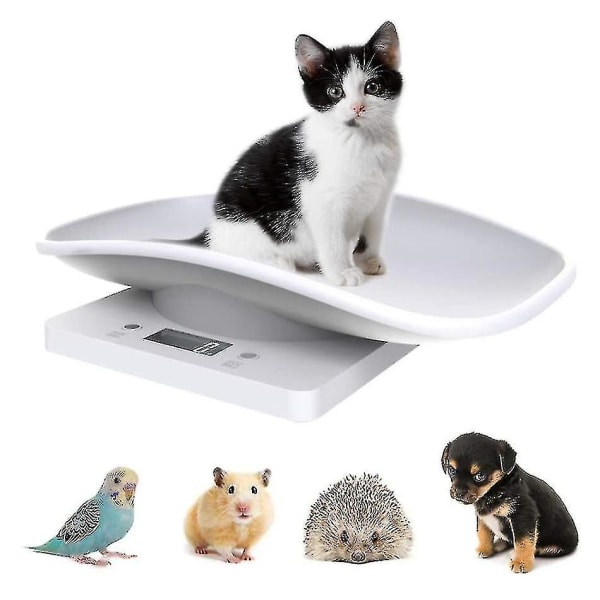 Digital husdjursvåg Elektronisk köksmatvåg med lcd-skärm 10 kg/22 lb