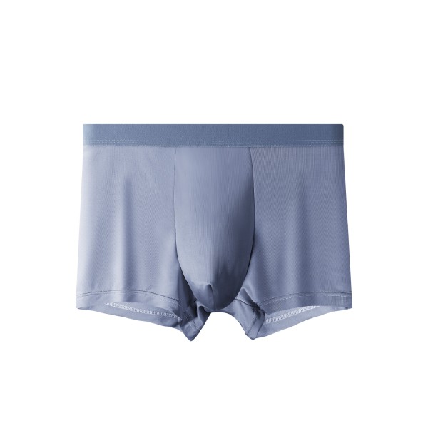 2st Andningsunderkläder för män Ice Silk Boxer Seamless Sexiga Trosor Boxer Kalsonger Herr Dark Blue XL