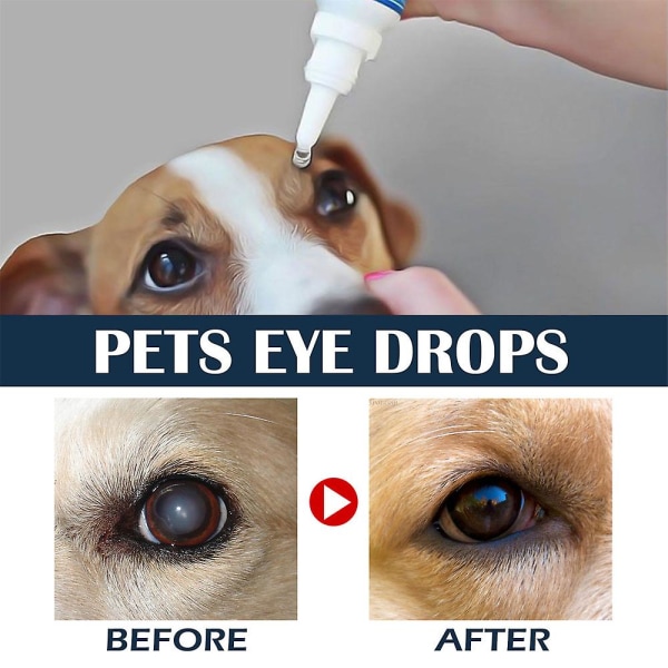 Eye Infection Drops compatible Dogs Cats And Rabbits Vet Care Pro 100f ...