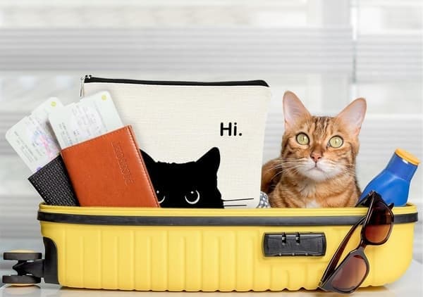 Makeuptaske med kattetema, sød makeuptaske, rejsetoilettaske (sort) Sort
