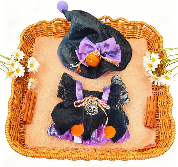 Halloween dockkläder set för Labubu 17cm dockor, magikerklänning Witch Purple