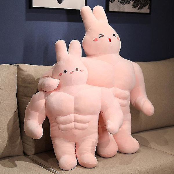 50/70/90cm Plussinen Pehmolelu Jänis Plussinen Poikaystävätyyny Pojat Tytöt 50cm angry