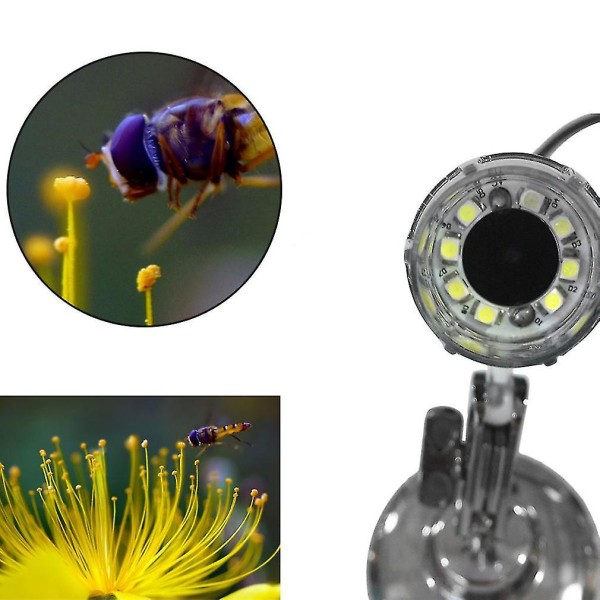 50-500x 2MP USB 8 LED digital mikroskop kamera forstørrelsesglas