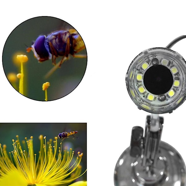 50-500x 2MP USB Digital Mikroskopkamera med 8 LED-lampor