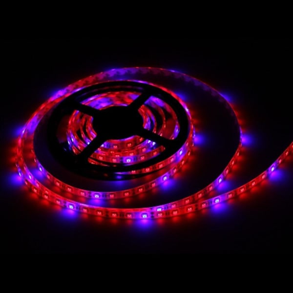 5m Vandtætte LED Lys Strips Tiktok 5050 4 Rød+1 Blå
