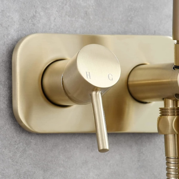 Håndbruser i rustfrit stål til toilet, bærbar bidet-sæt, varmt og koldt vand, bruseslange, bidet-toilet komplet sæt, børstet guld, Ws024j2f2-yuhao
