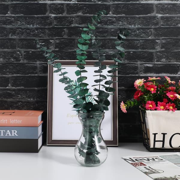 4 stk. hydroponiske blomstervaser i glas til grønne planter, små bordpotter